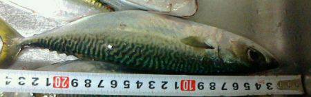 下火になってきました